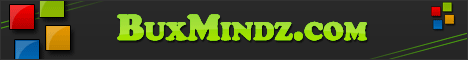 buxmindz.com