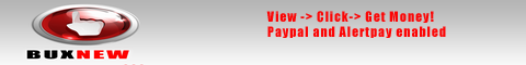 buxnew.com