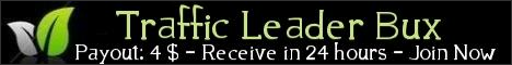 trafficleaderbux.com